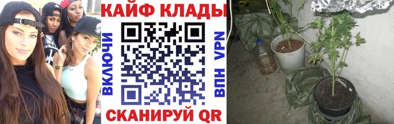 Купить Тулун Марихуана  Меф  Cocaine  Альфа ПВП  ГАШ 