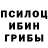 Галлюциногенные грибы GOLDEN TEACHER Lotsky Yoga