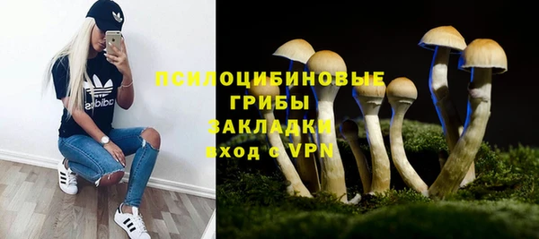 PSILOCYBIN Нягань