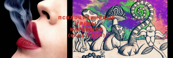PSILOCYBIN Нягань