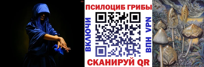 хочу   Тулун  Псилоцибиновые грибы Psilocybine cubensis 